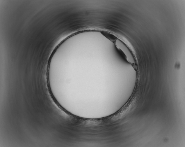 X0000100340847200807031257