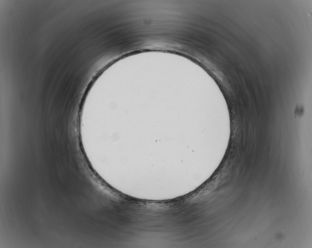 X0000100340848200807031257