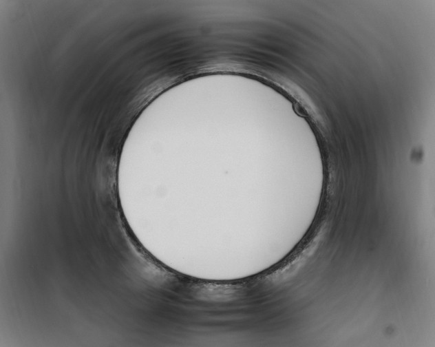 X0000100340849200807031257