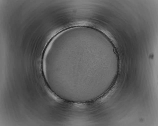 X0000100340850200807031257