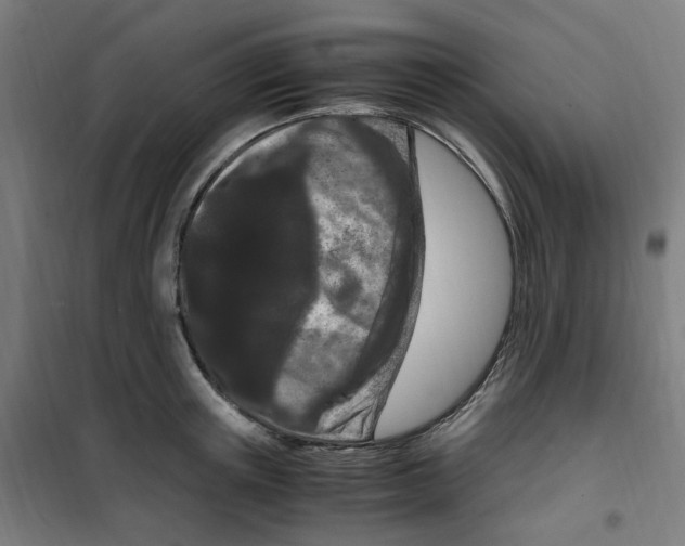 X0000100340851200807031257