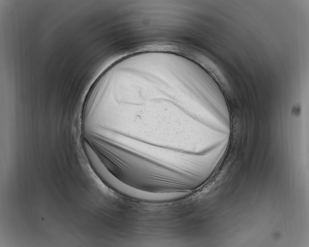 X0000100340852200807031257