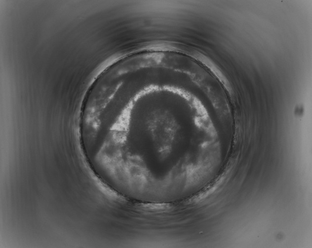 X0000100340853200807031257