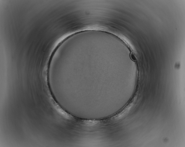 X0000100340854200807031257