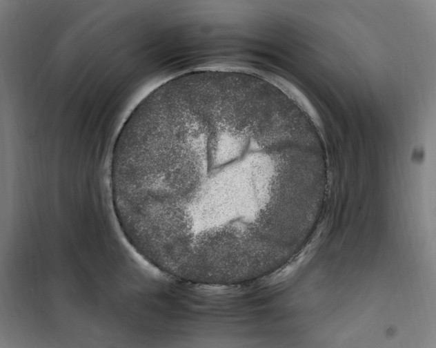 X0000100340855200807031257