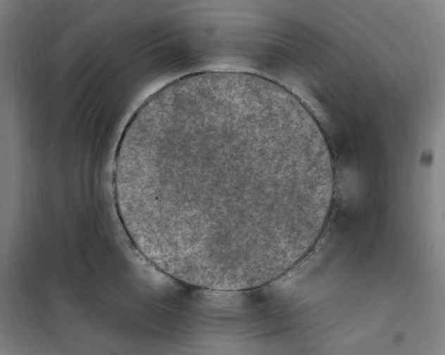 X0000100340856200807031257