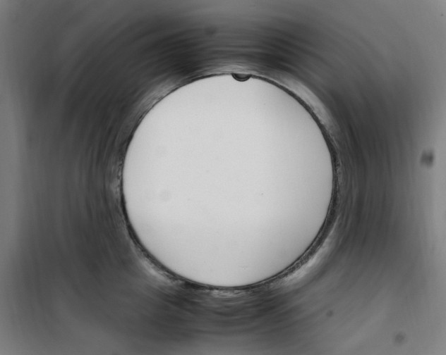 X0000100340857200807031257