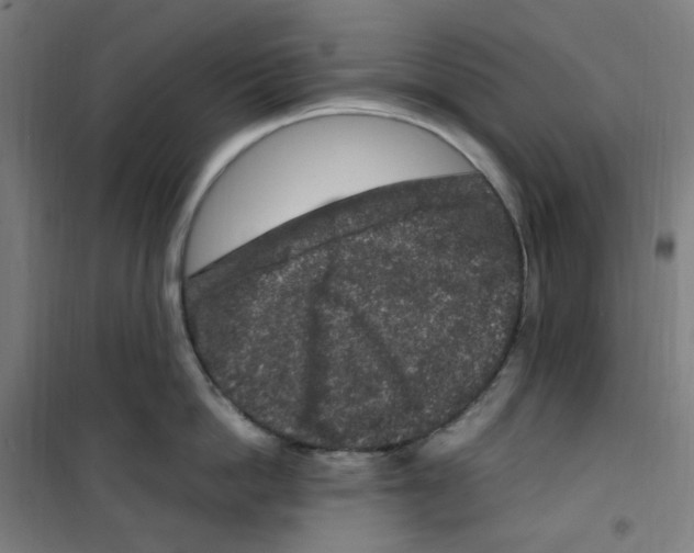 X0000100340862200807031257