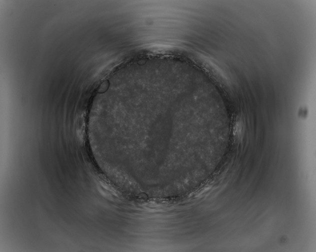 X0000100340868200807031256