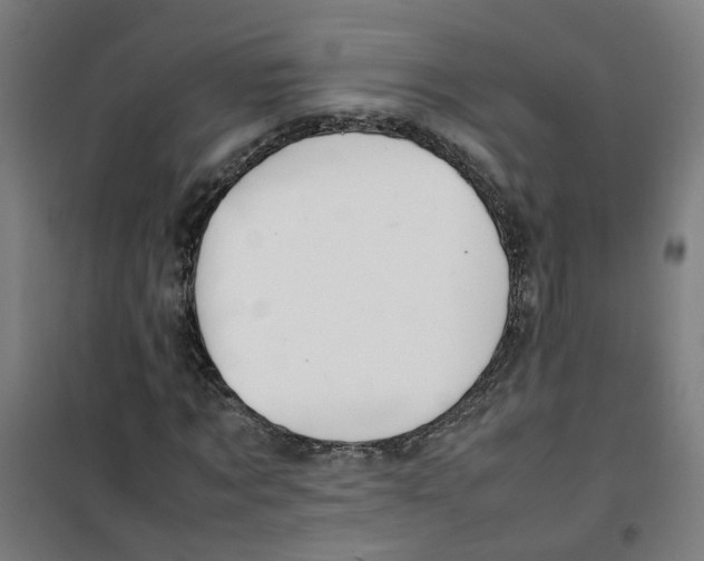 X0000100340869200807031256