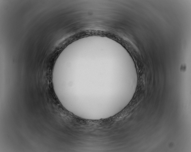 X0000100340870200807031256