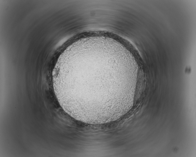 X0000100340871200807031256