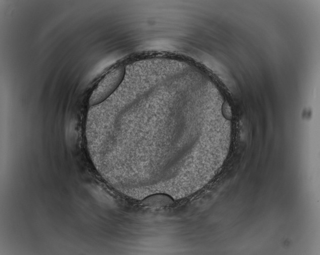 X0000100340872200807031256