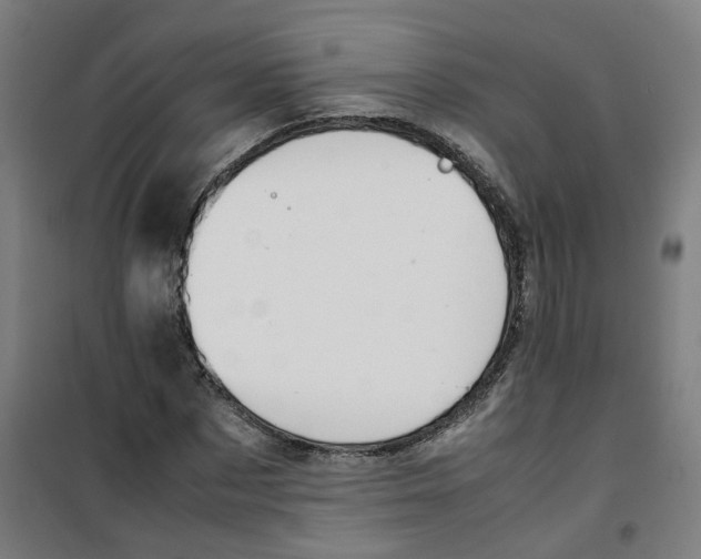 X0000100340873200807031256