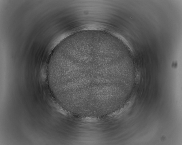 X0000100340874200807031256