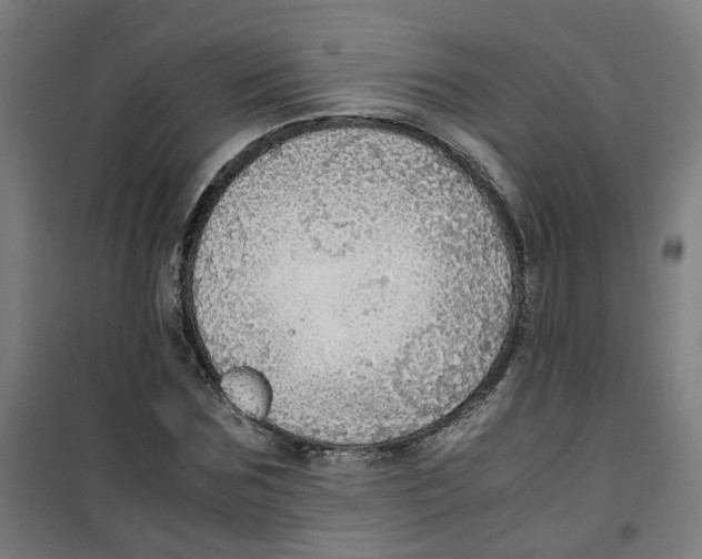 X0000100340875200807031256