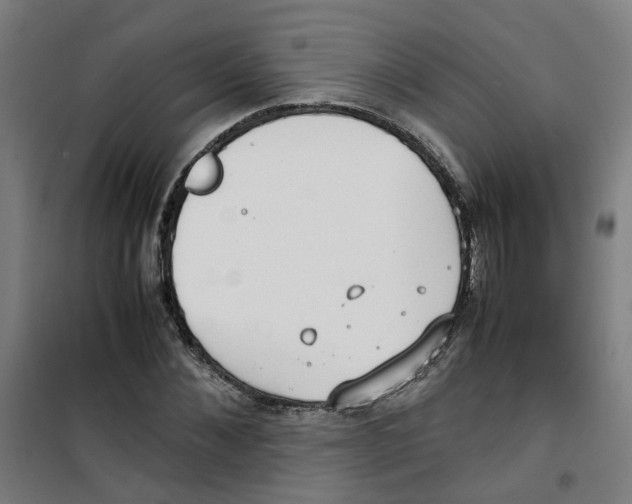 X0000100340876200807031256