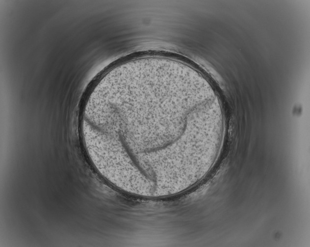 X0000100340877200807031256