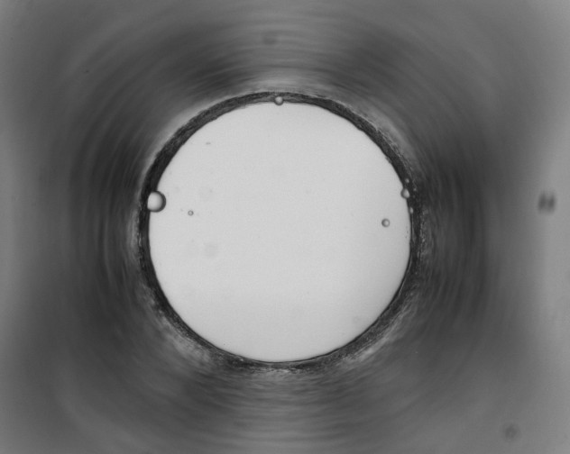 X0000100340880200807031256