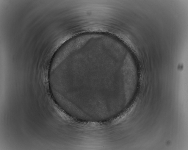 X0000100340881200807031256