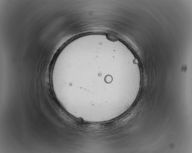 X0000100340883200807031256