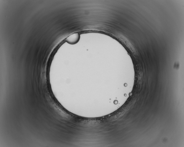 X0000100340884200807031256