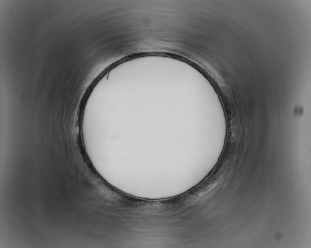 X0000100340885200807031256