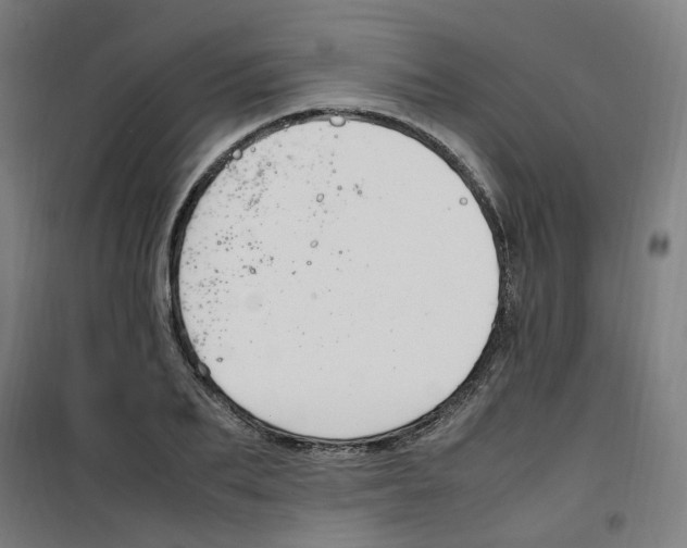 X0000100340887200807031256