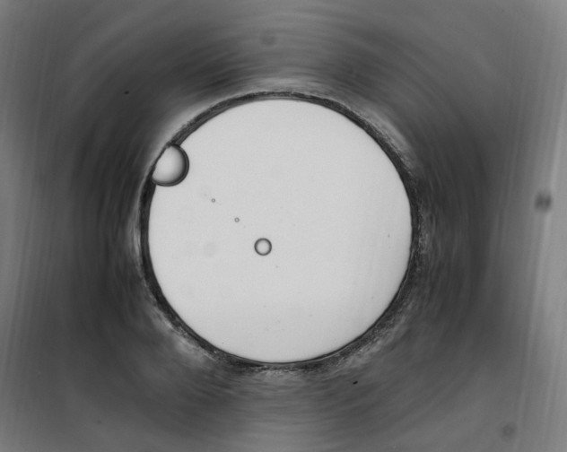 X0000100340888200807031256