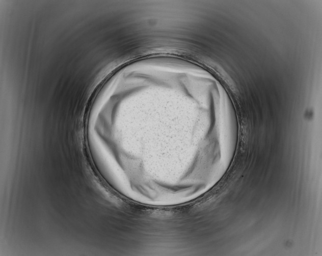 X0000100340890200807031256