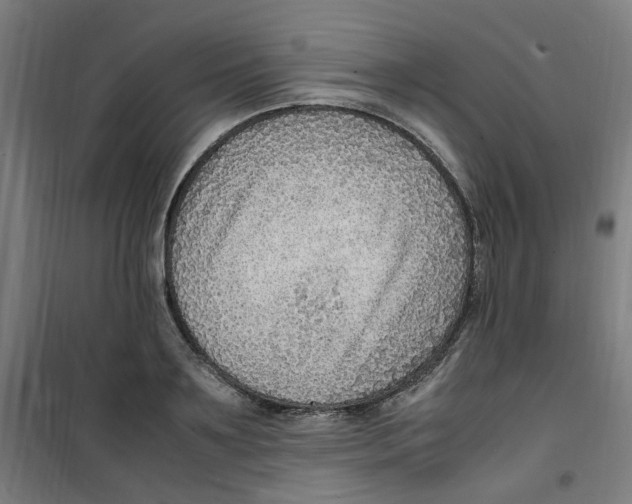 X0000100340891200807031256