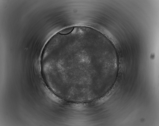 X0000100340892200807031256