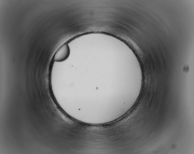 X0000100340894200807031256