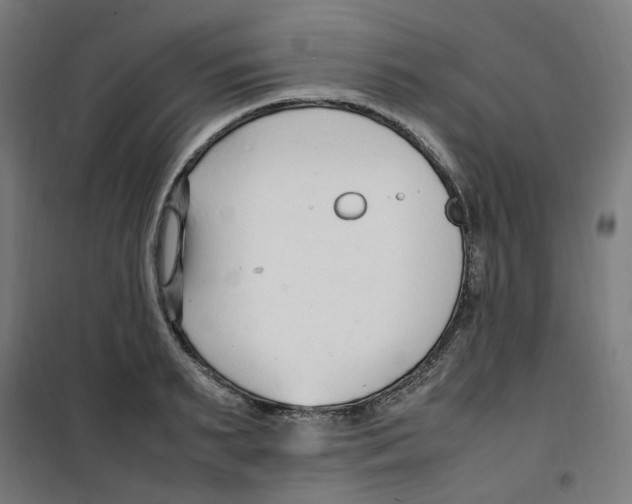 X0000100340895200807031256