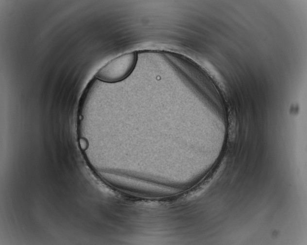 X0000100340896200807031256