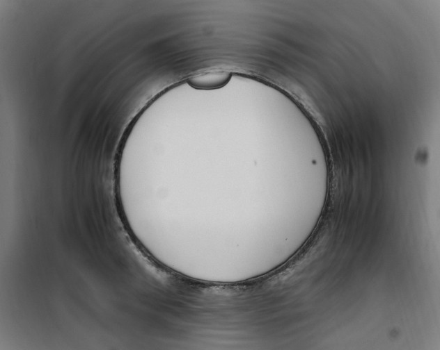 X0000100340898200807031255