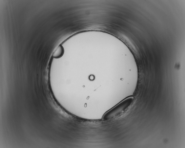 X0000100340900200807031255