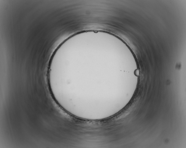 X0000100340901200807031255