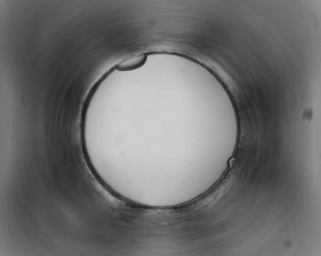 X0000100340902200807031255