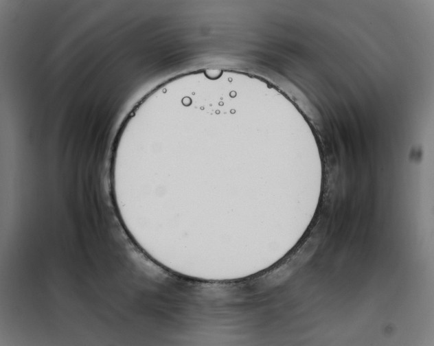 X0000100340904200807031255