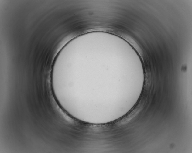 X0000100340906200807031255