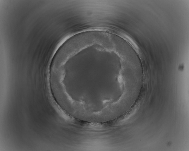 X0000100340907200807031255