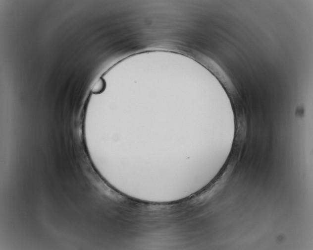 X0000100340908200807031255