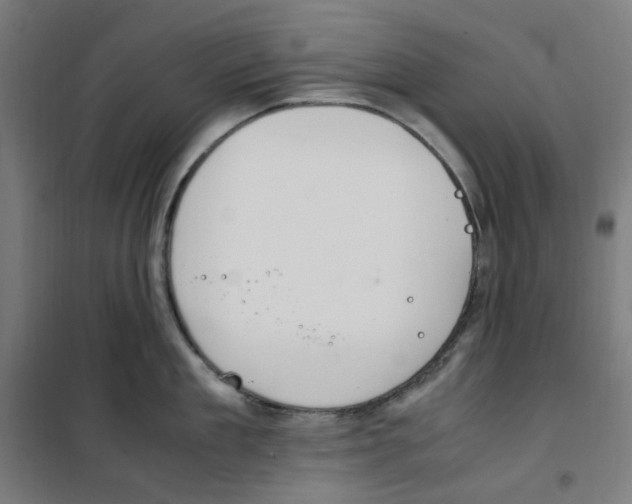 X0000100340909200807031255