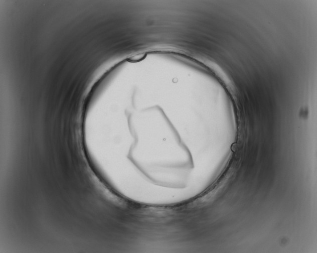 X0000100340910200807031255