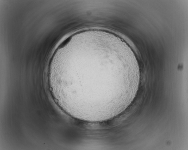 X0000100340911200807031255