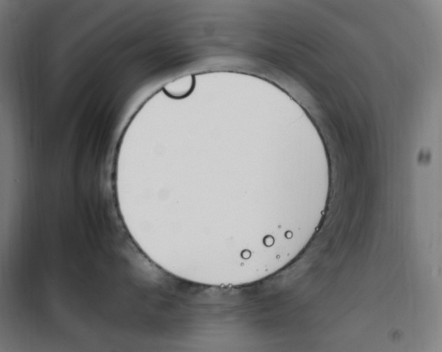 X0000100340912200807031255