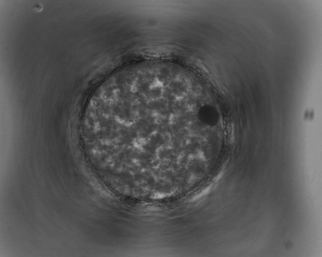 X0000100340913200807031255