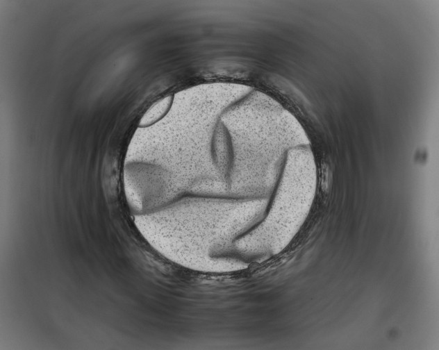 X0000100340915200807031255