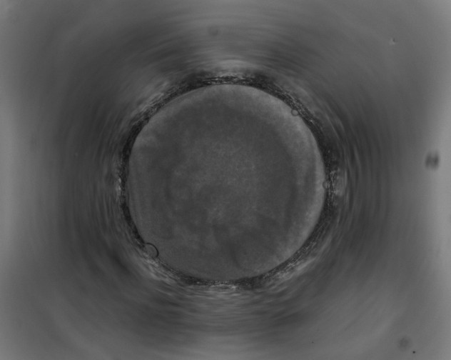 X0000100340916200807031255